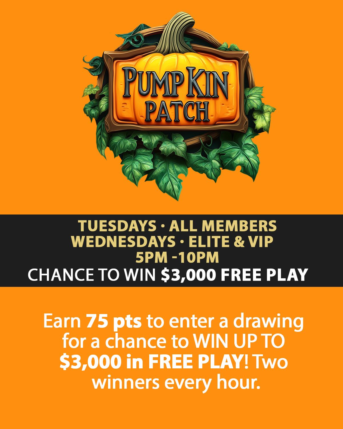 Pumpkin Patch Tuesdays and Wednesdays at the Big Easy Casino in Hallandale Beach, FL